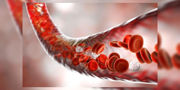 Jakie pokarmy zagęszczają krew: hematolog ostrzega, że mogą prowadzić do zakrzepicy