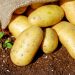 Czy ziemniaki naprawdę wpływają na układ sercowo-naczyniowy?