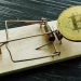 Mieszkaniec Gurevska stracił 7 milionów rubli, próbując zarobić na kryptowalutach