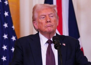 Trump rozmawiał z Putinem i Zełenskim: wezwał do pokoju