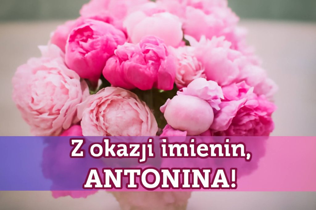 Dzień Anioła Antoniny 2025: kiedy obchodzone są imieniny, życzenia prozą, wiersze i obrazki