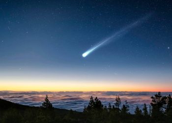 Dowiedz się, co oznacza sen o spadającej gwieździe lub komecie. Pełna interpretacja symbolu według różnych senników. Co oznacza deszcz meteorów na nocnym niebie.