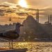 W Turcji zarejestrowano najwyższą temperaturę w historii Europy — +50,5°C. Anormalna fala upałów ogarnęła regiony i pobiła dotychczasowe rekordy.