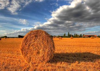 29 lipca na Ukrainie nastąpi gwałtowna zmiana pogody: ulewy i grad na zachodzie i północy, upał do +36° na wschodzie i południu. Prognoza dla regionów i porady ekspertów.