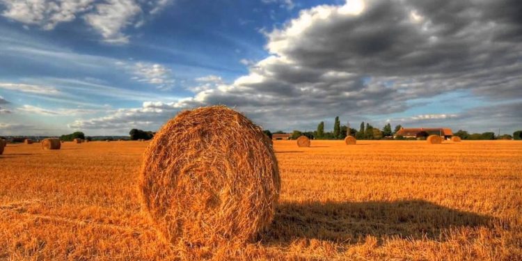 29 lipca na Ukrainie nastąpi gwałtowna zmiana pogody: ulewy i grad na zachodzie i północy, upał do +36° na wschodzie i południu. Prognoza dla regionów i porady ekspertów.