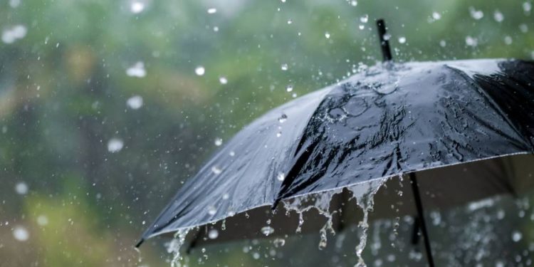 Pogoda na Ukrainie zmieni się w dniach 5–7 lipca: przewidywany spadek temperatury, opady deszczu oraz niestabilne fronty atmosferyczne na zachodzie i w centrum kraju.