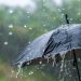 Pogoda na Ukrainie zmieni się w dniach 5–7 lipca: przewidywany spadek temperatury, opady deszczu oraz niestabilne fronty atmosferyczne na zachodzie i w centrum kraju.