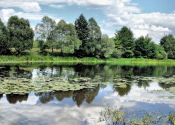 W dniach 19–20 lipca w Ukrainie prognozowane są burzowe opady deszczu na zachodzie i północy, sucha pogoda na południu i wschodzie, a temperatury w ciągu dnia wyniosą od +20 do +35°C.