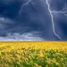 10 lipca w dziesięciu obwodach Ukrainy prognozowane są burze i ulewy. Synoptycy ostrzegają przed żółtym i pomarańczowym poziomami zagrożenia.