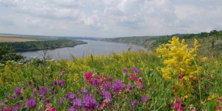 22 lipca w Ukrainie prognozowane są silne upały do +36°C, burze z gradem na zachodzie, północy i w centrum. Opady ominą wschód i południe kraju.