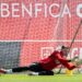 Benfika podejmuje Fenerbahce w meczu rewanżowym kwalifikacji Ligi Mistrzów. Prognoza i transmisja online.