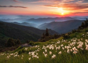 4 sierpnia na Ukrainie przewiduje się ciepłą pogodę z burzami na wschodzie, północnym wschodzie i zachodzie, wiatr północny do 12 m/s, temperatura do +34° na południu.