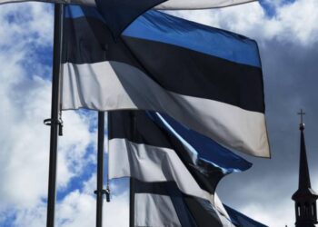 Estonia buduje 40 km rowów przeciwpancernych oraz setki bunkrów na granicy z Federacją Rosyjską. Opozycja proponuje całkowite zamknięcie granicy ze względu na zagrożenia bezpieczeństwa.