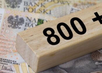 W Polsce zmieniają się zasady wypłat „800+” dla cudzoziemców. Świadczenia będą uzależnione od pracy rodziców i nauki dziecka w szkole. Start kontroli — luty 2026.