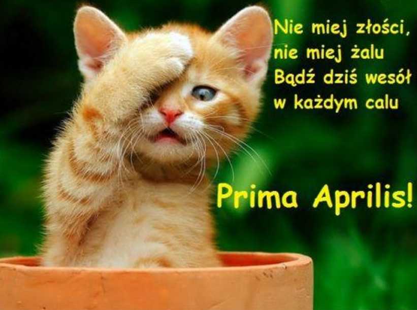 1 kwietnia – Prima Aprilis: życzenia w obrazkach, wierszach, prozą, krótkich SMS-ach, kartkach i GIF-ach
