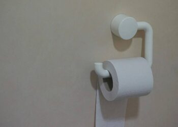 Na świecie rośnie zainteresowanie alternatywami dla papieru toaletowego: konsumenci wybierają bidety, papier bambusowy oraz bardziej ekologiczne rozwiązania.