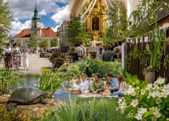 Dowiedz się, jakie święta obchodzone są w Polsce 23 maja 2026 roku. W artykule zebrano dni międzynarodowe, informacje z kalendarza kościelnego, najważniejsze ludowe przesądy, tradycje oraz zakazy dnia.