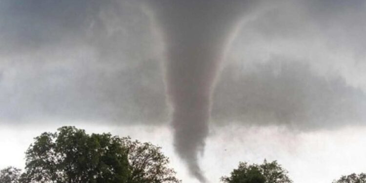 W polskiej wsi Cudnochy świadkowie nagrali tornado. Wir został potwierdzony przez meteorologów IMGW, a synoptycy ostrzegają przed ryzykiem kolejnych burz w Polsce.